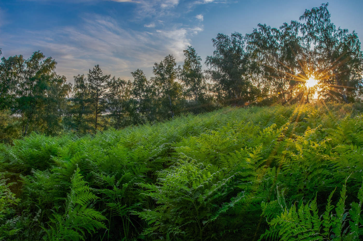 Перед закатом