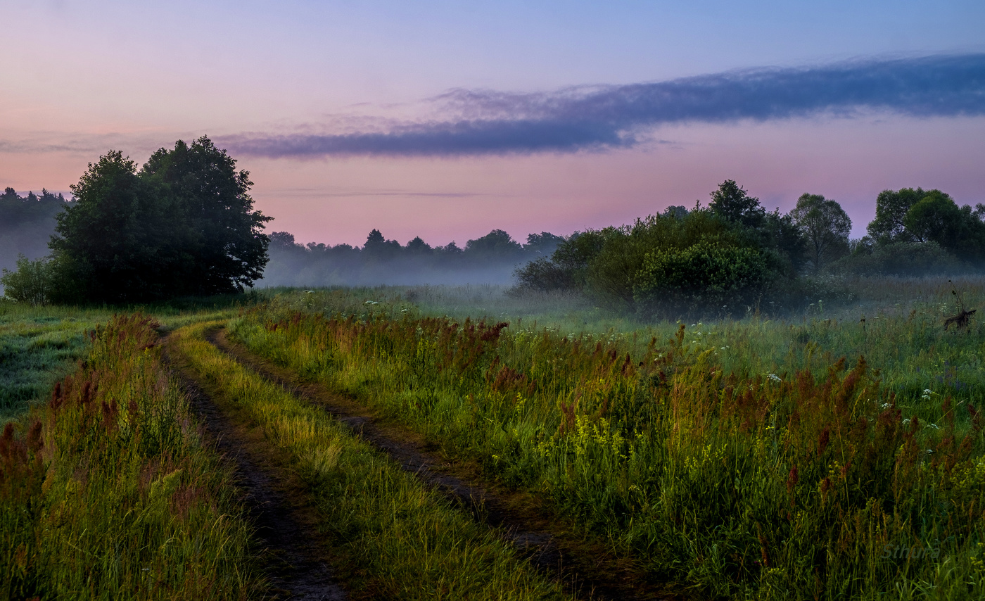 Ночь прошла.