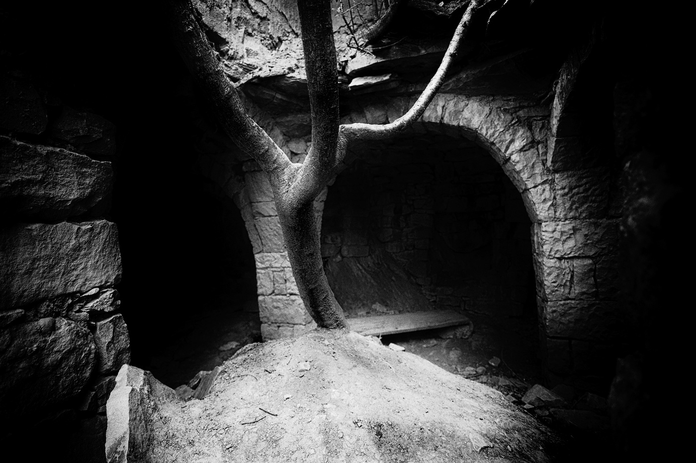 Любовь к жизни