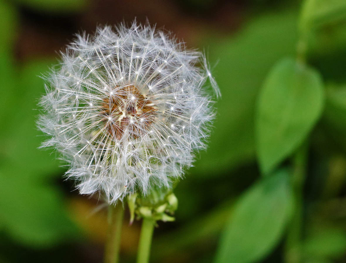 Вот-вот улетит...