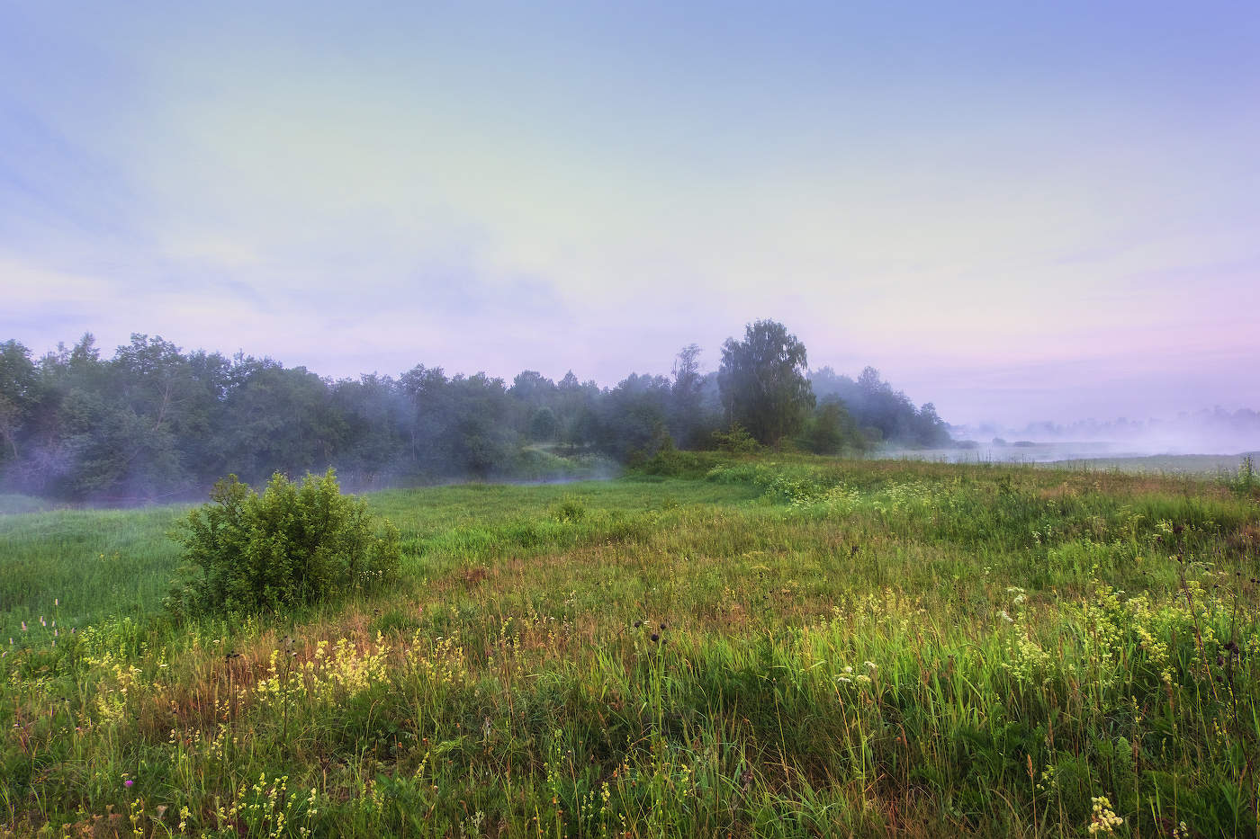 В предрассветный час
