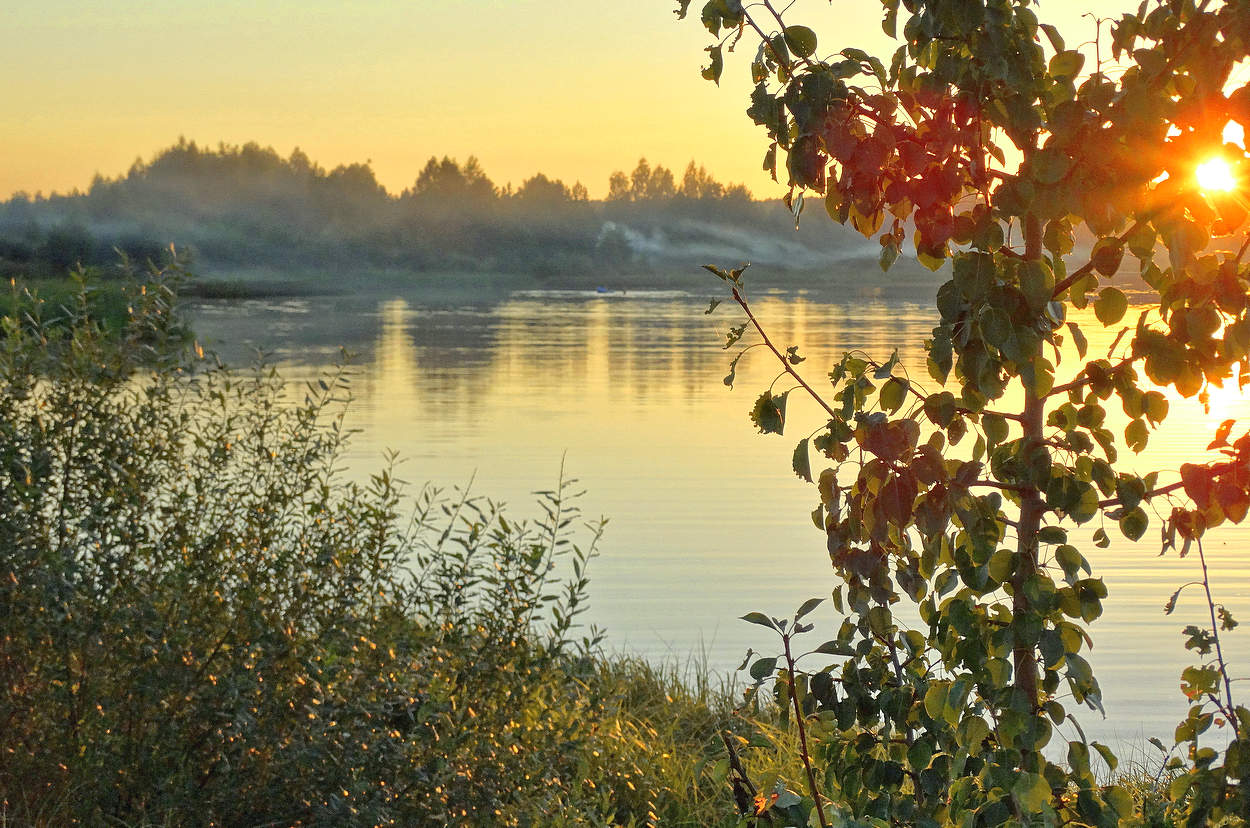 Вечернее солнце в тишине озера