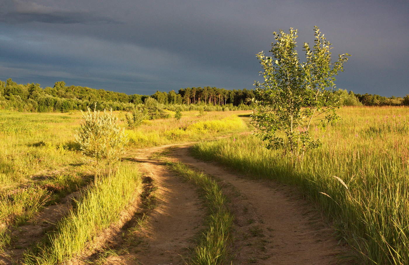 Вечерними просёлками