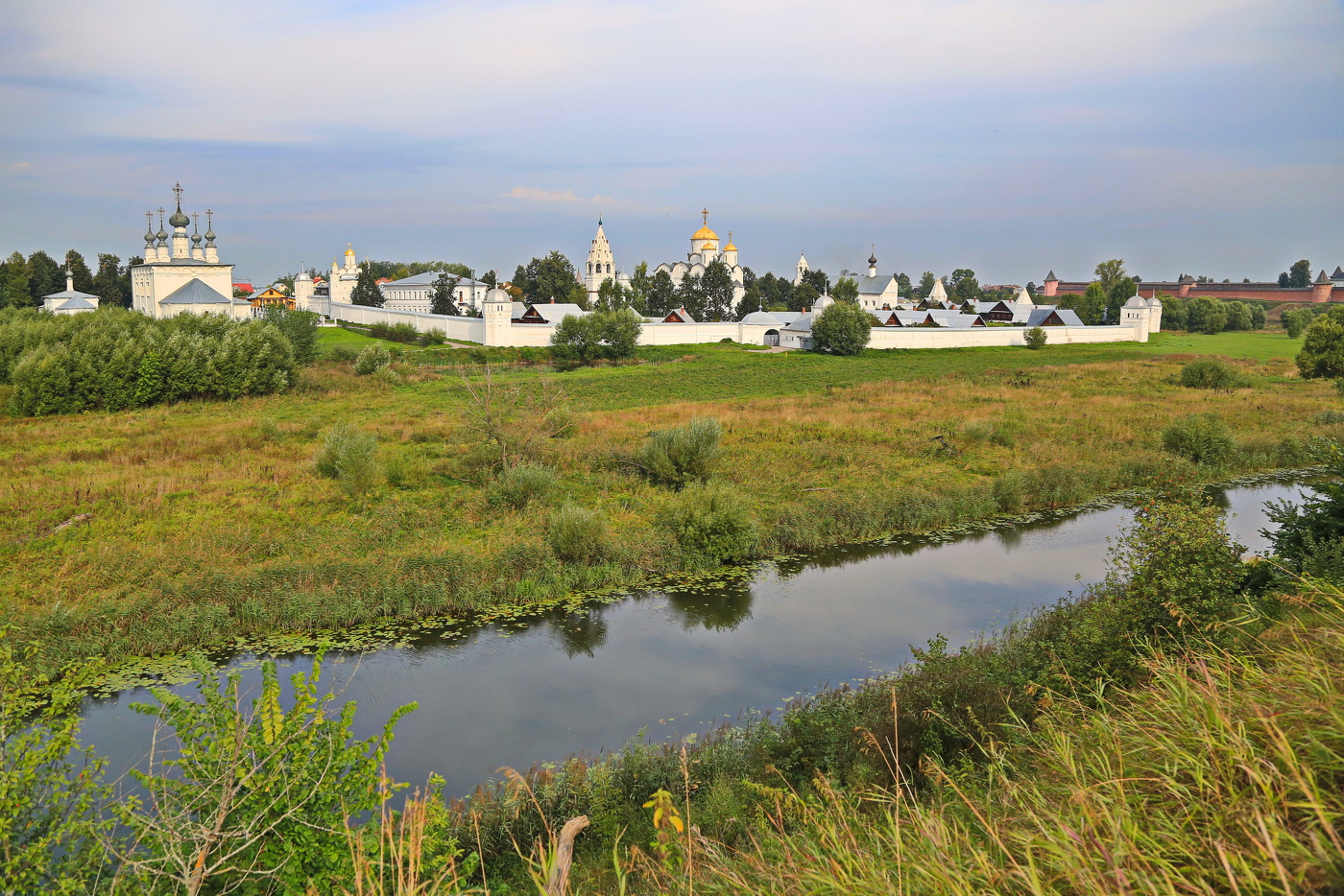 Суздальские виды