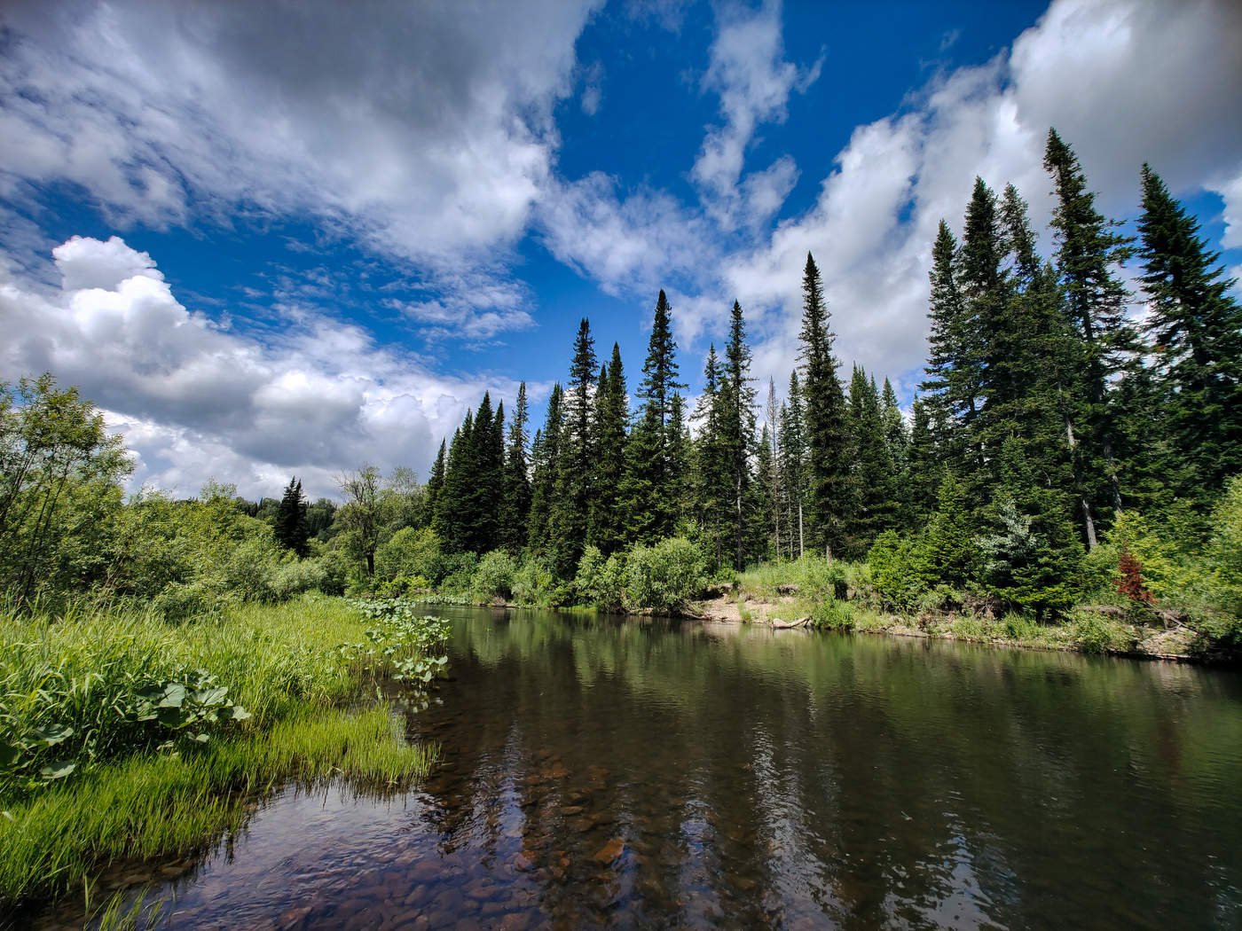 На берегу Тельбеса