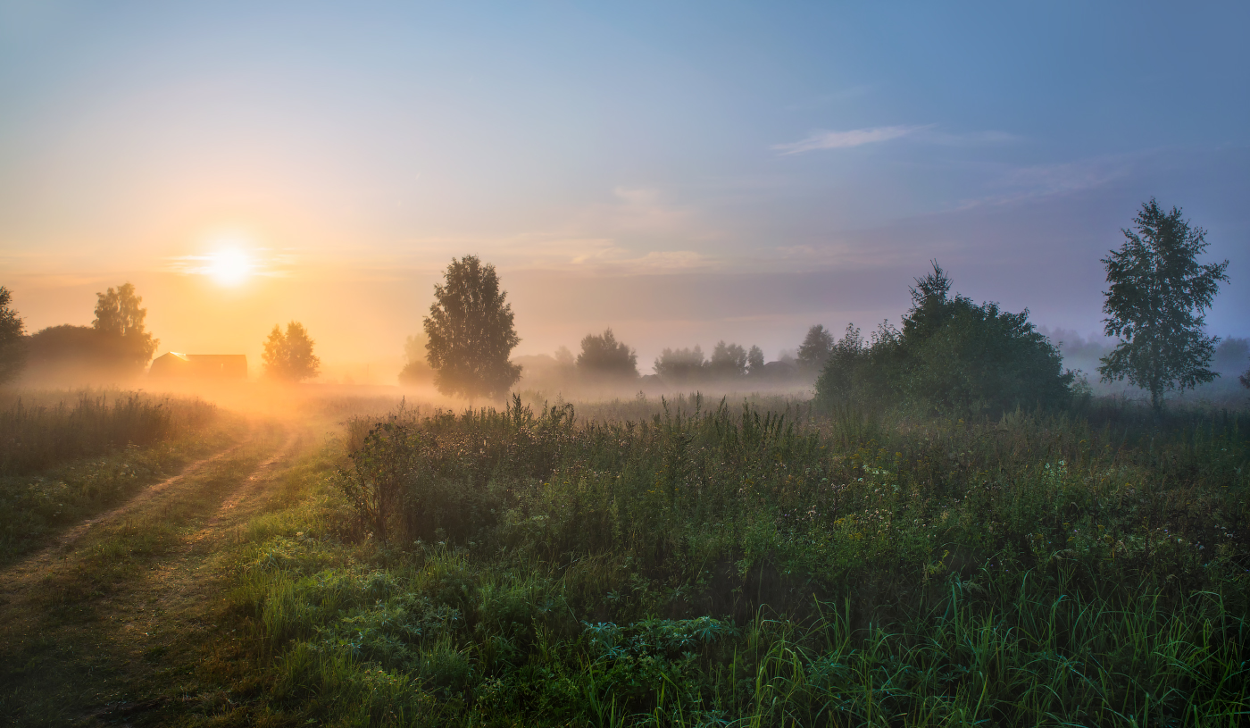 деревенское утро