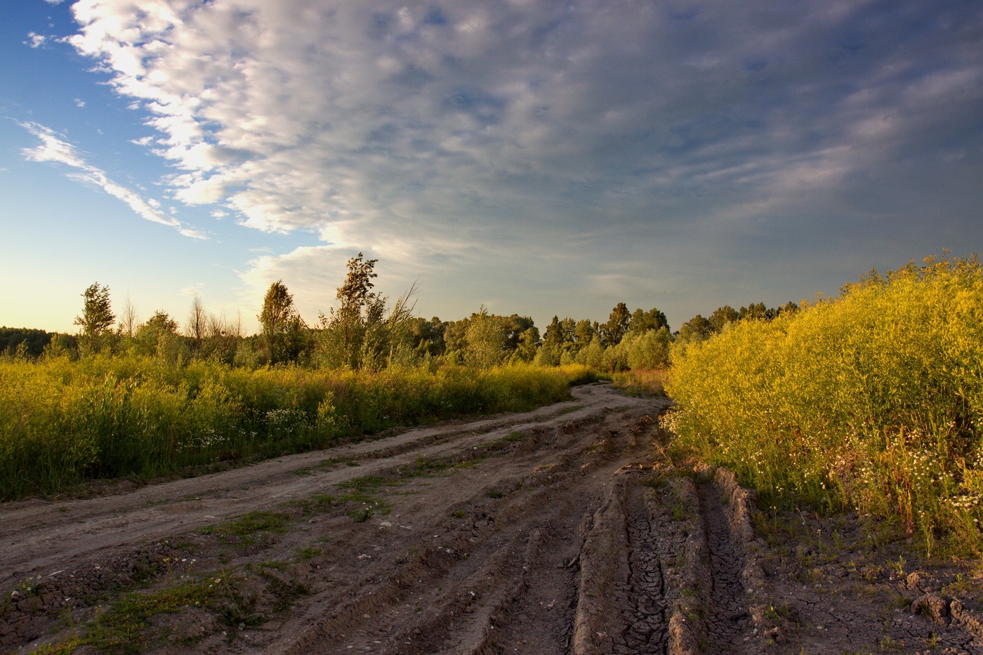 По знакомой колее.
