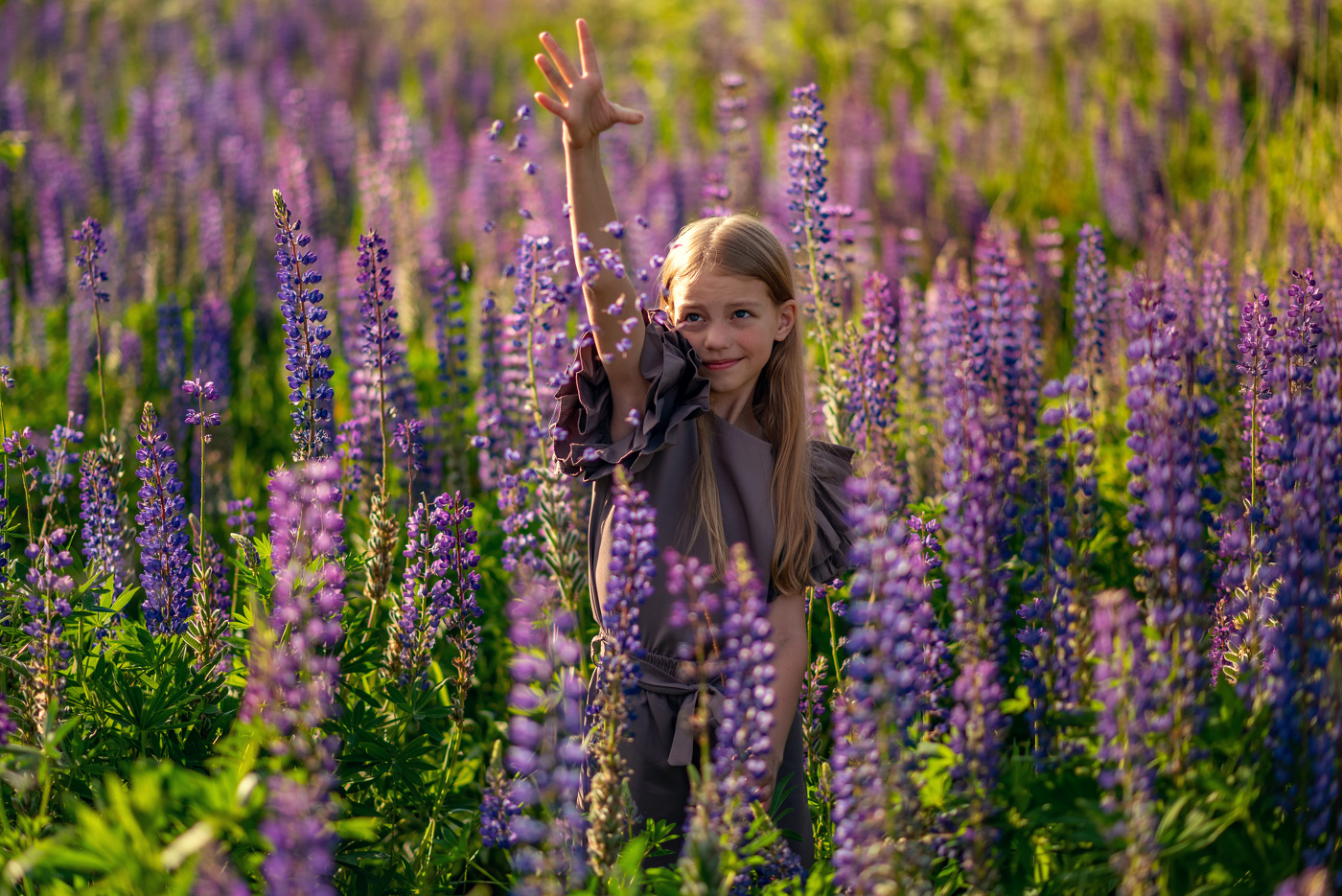 Люпиновое море