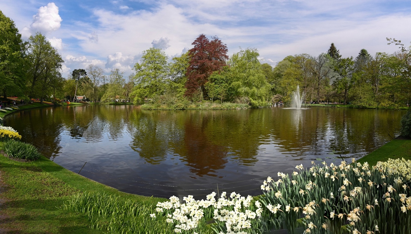 Парк тюльпанов "Кёкенхоф" в Голландии