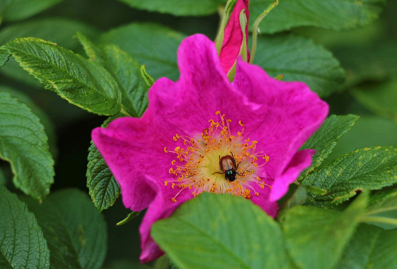 Хорошо устроился!