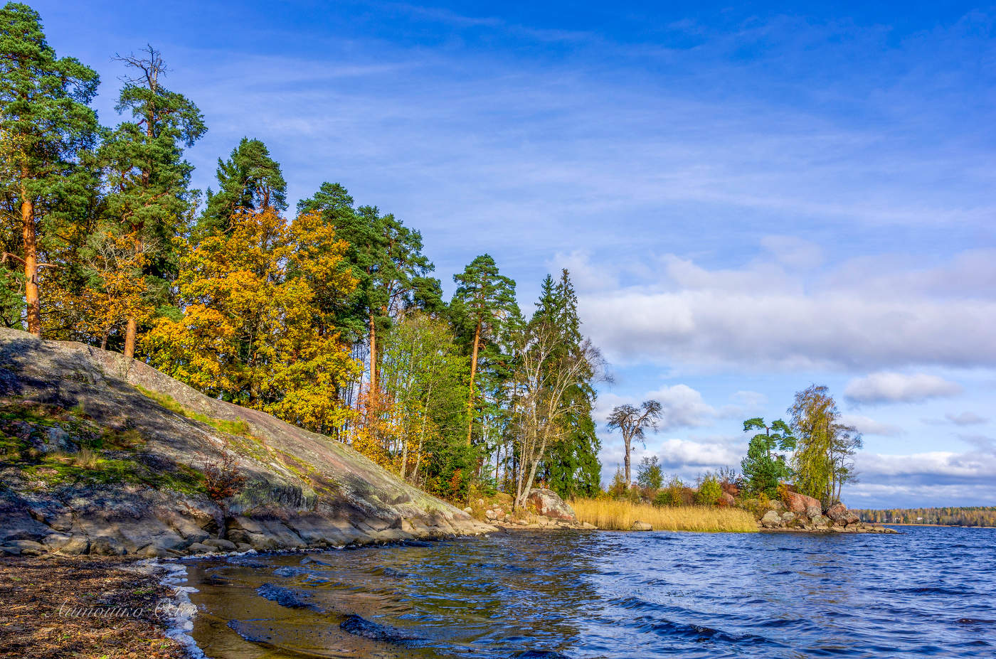 Выборг. Парк Монрепо.