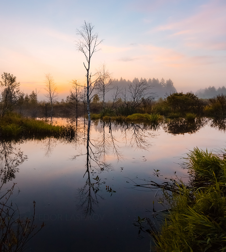 Тишина зари