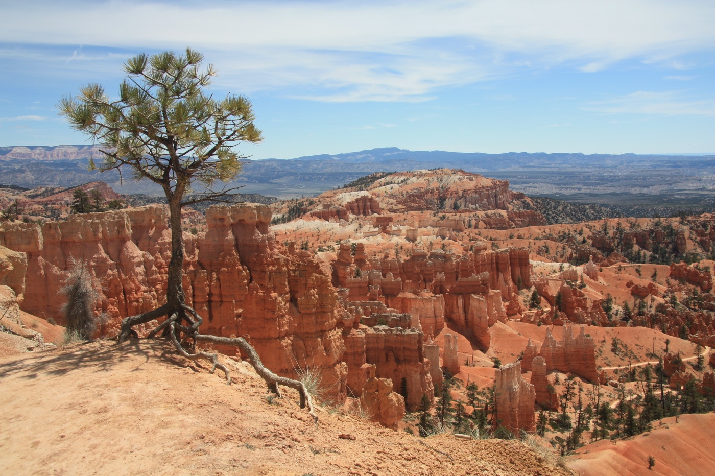 Жизнь на краю обрыва...