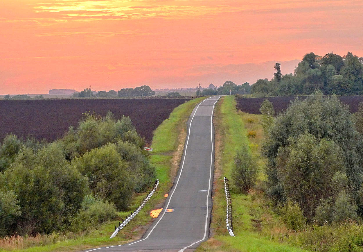 А дорога серою лентою вьётся