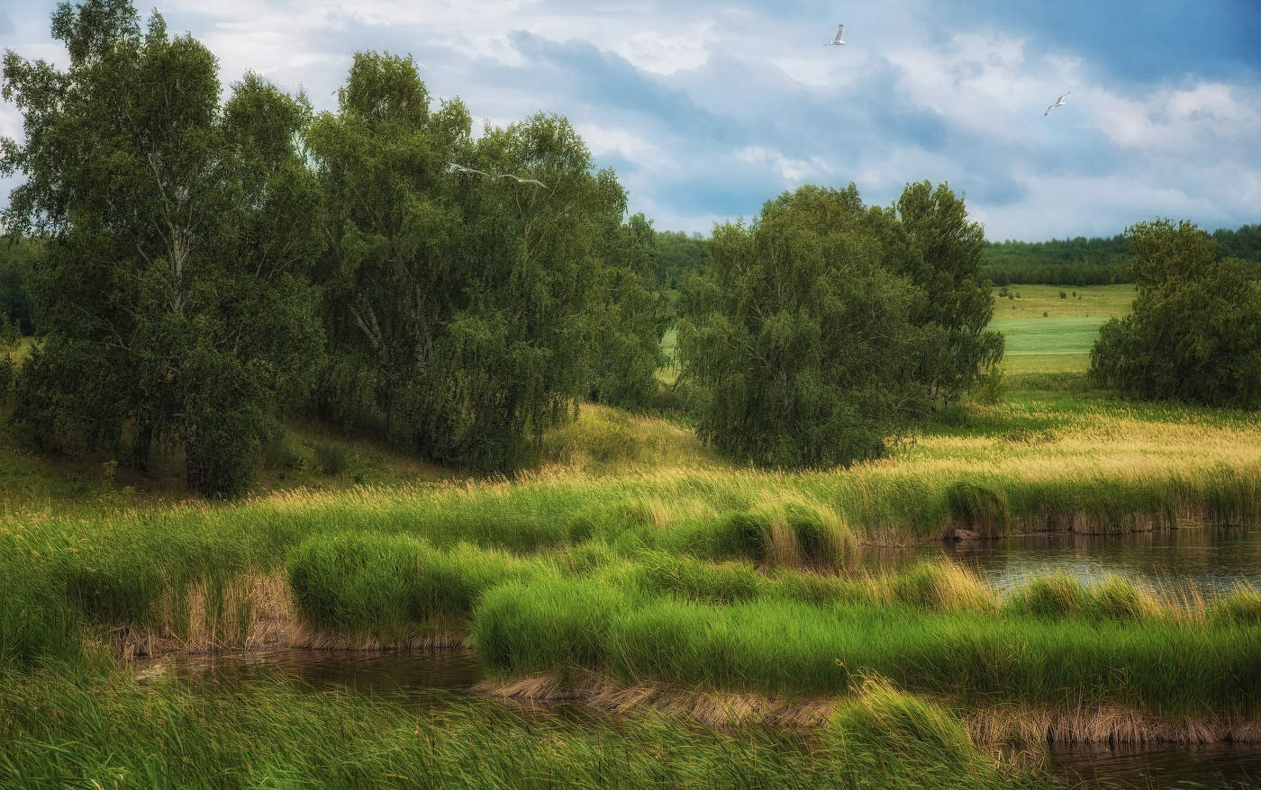 Июль на Чиреккуле