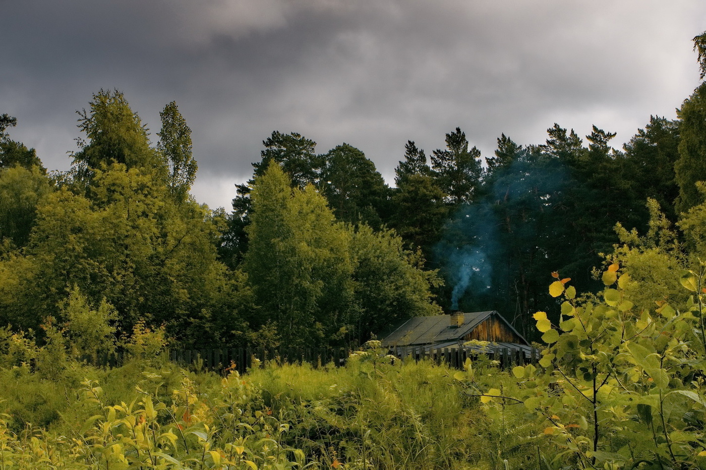 *В лесной глуши.**