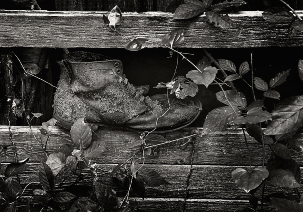 Натюрморт со мхом