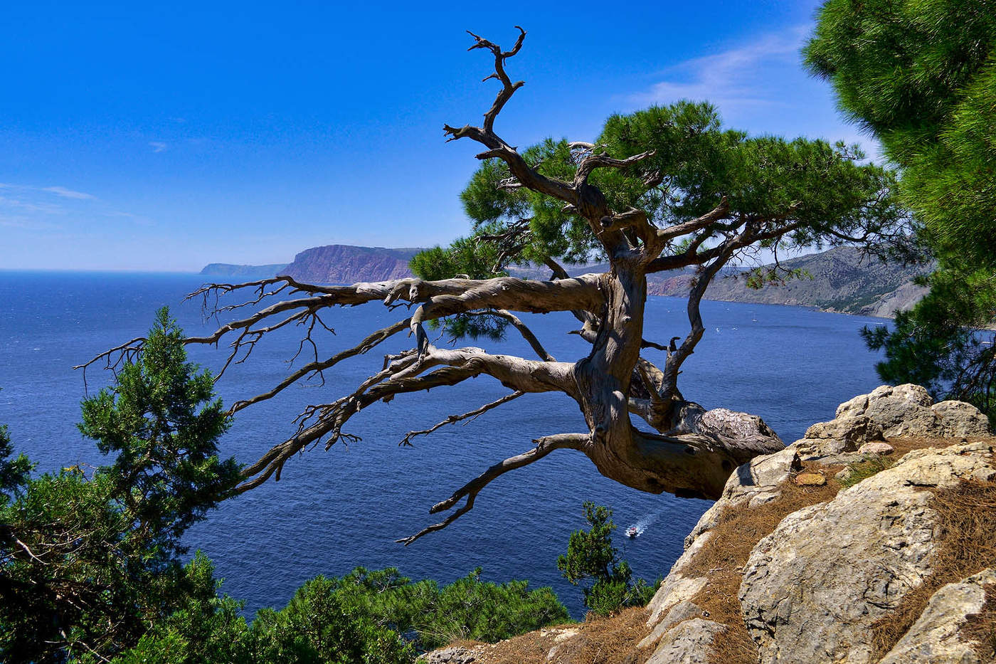 На мысе Айя