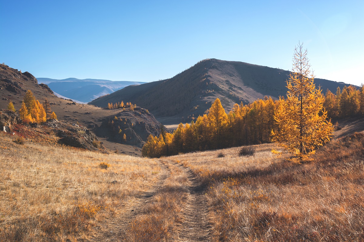 Про осенний Алтай