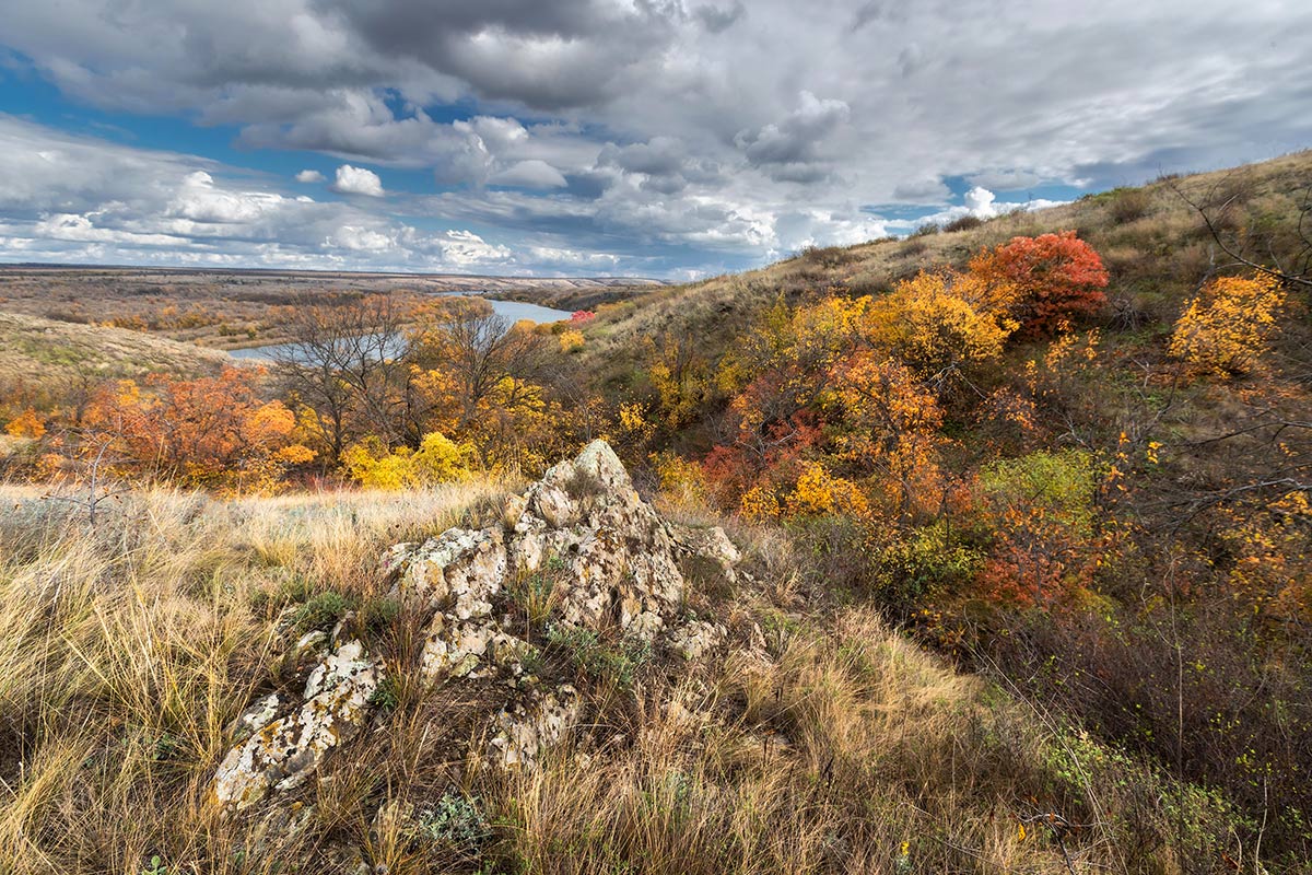 На осенних буграх