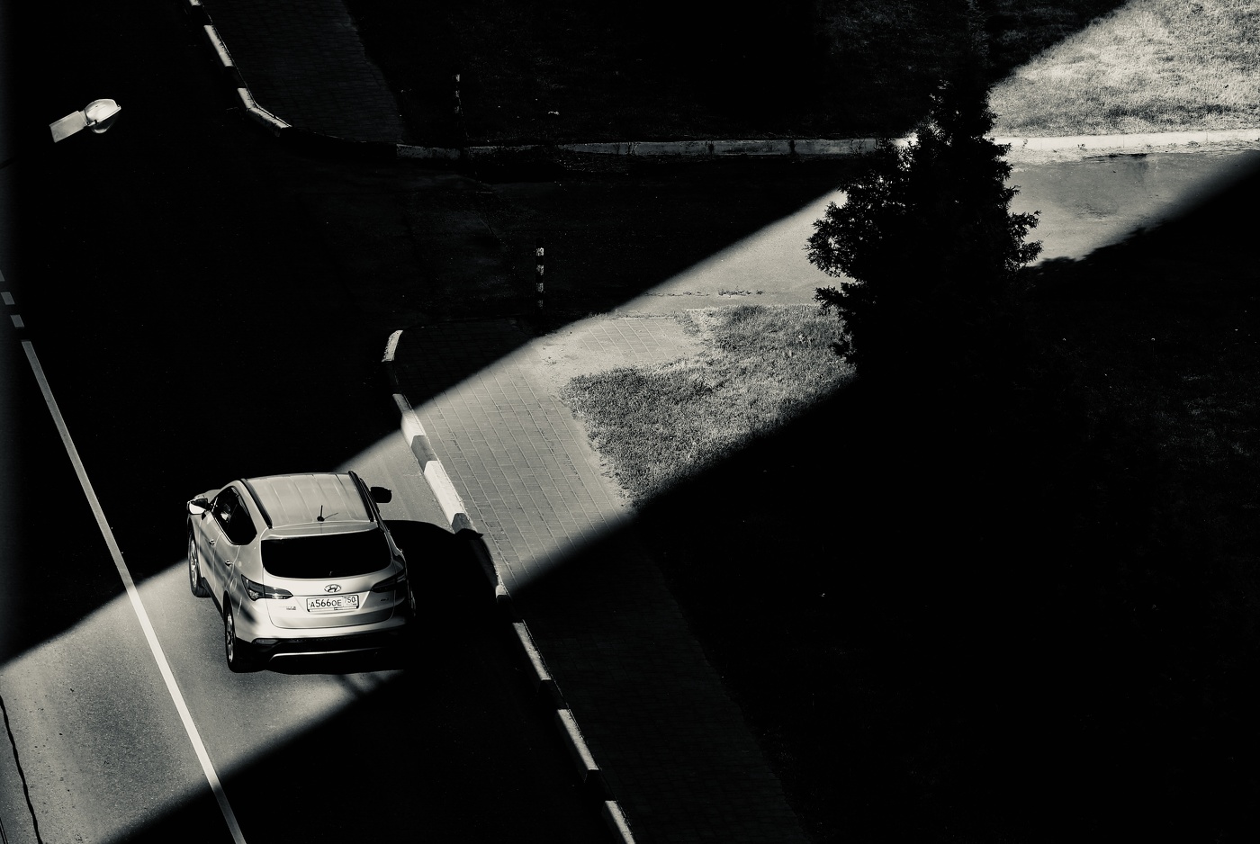 Светлая полоса