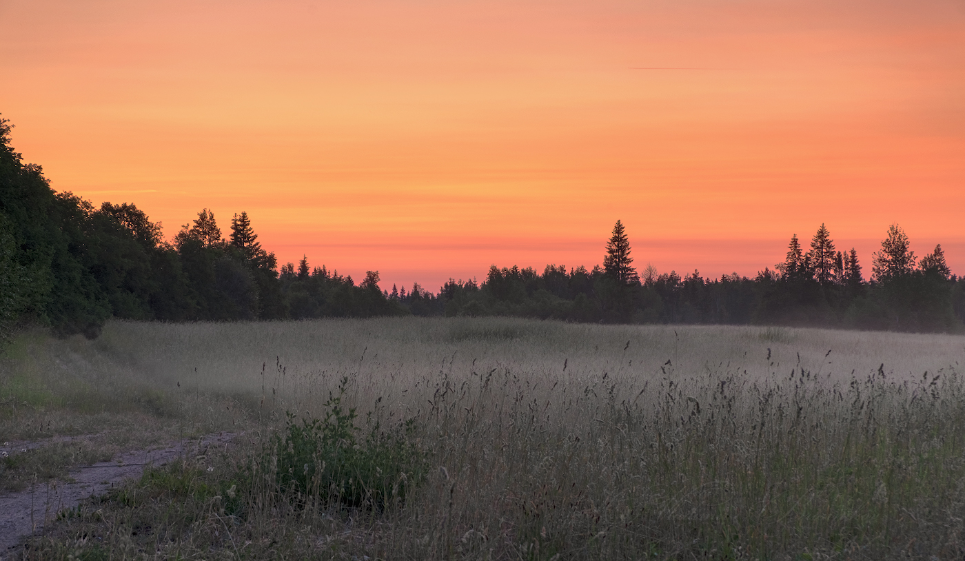 Краски летнего рассвета