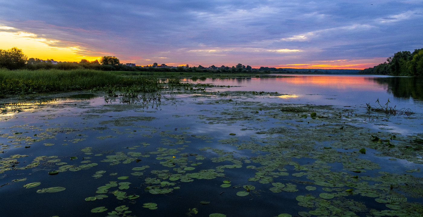Туча над Истоком.
