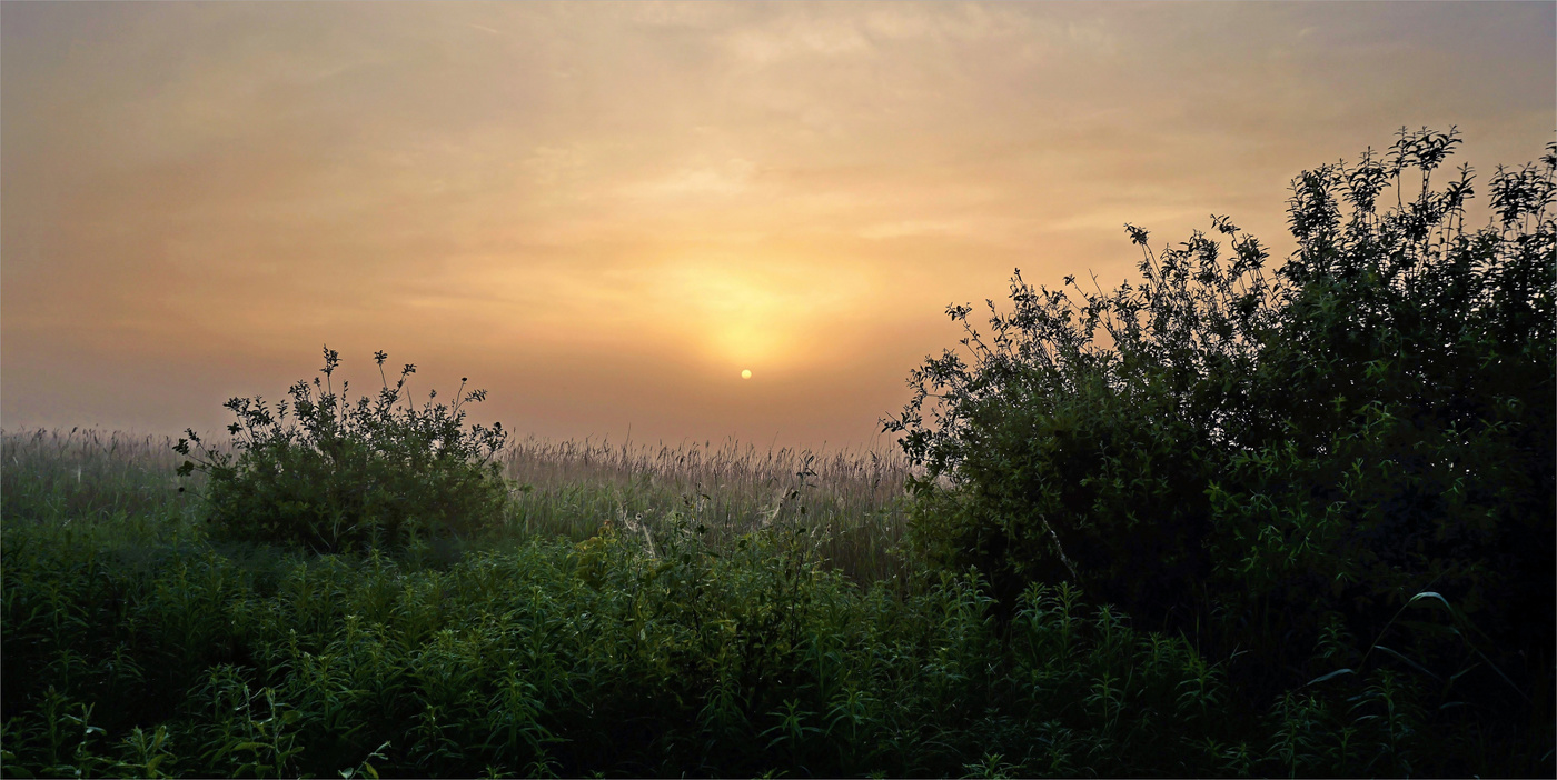 Однажды на заре