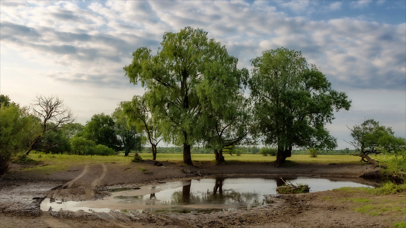 УТРО ПОЛЕСЬЯ