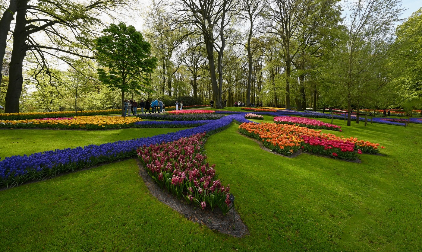 Парк тюльпанов "Кёкенхоф" в Голландии
