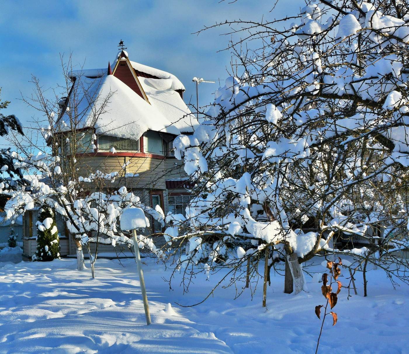 "Снег занес мою крышу еще в январе ..."