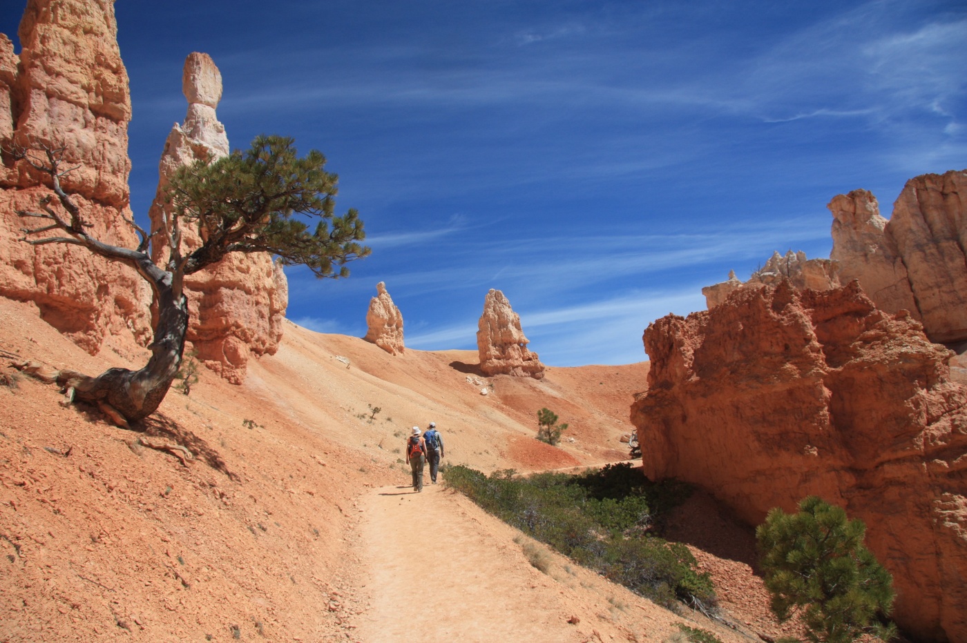 Марсианские хроники...