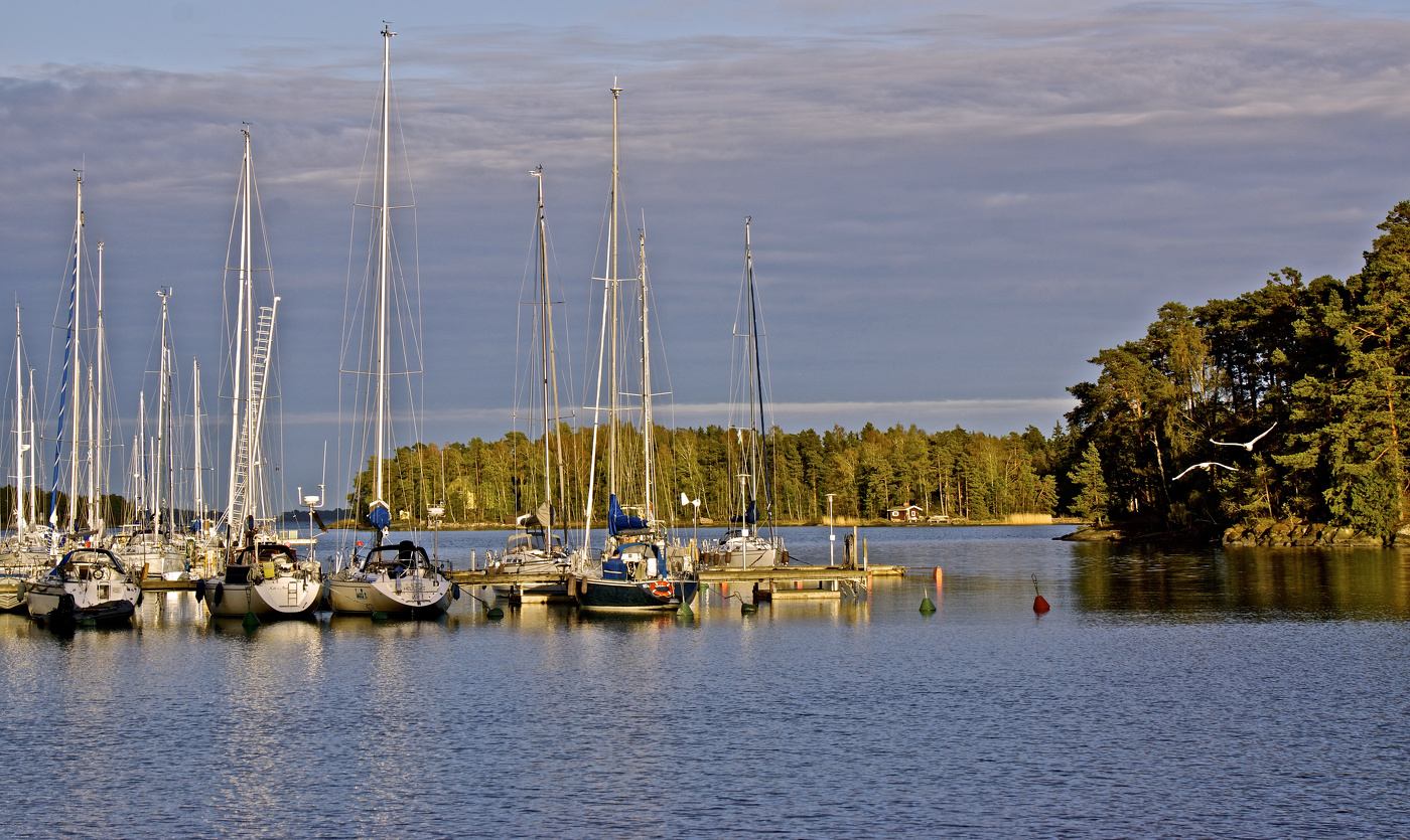 К вечеру распогодилось...