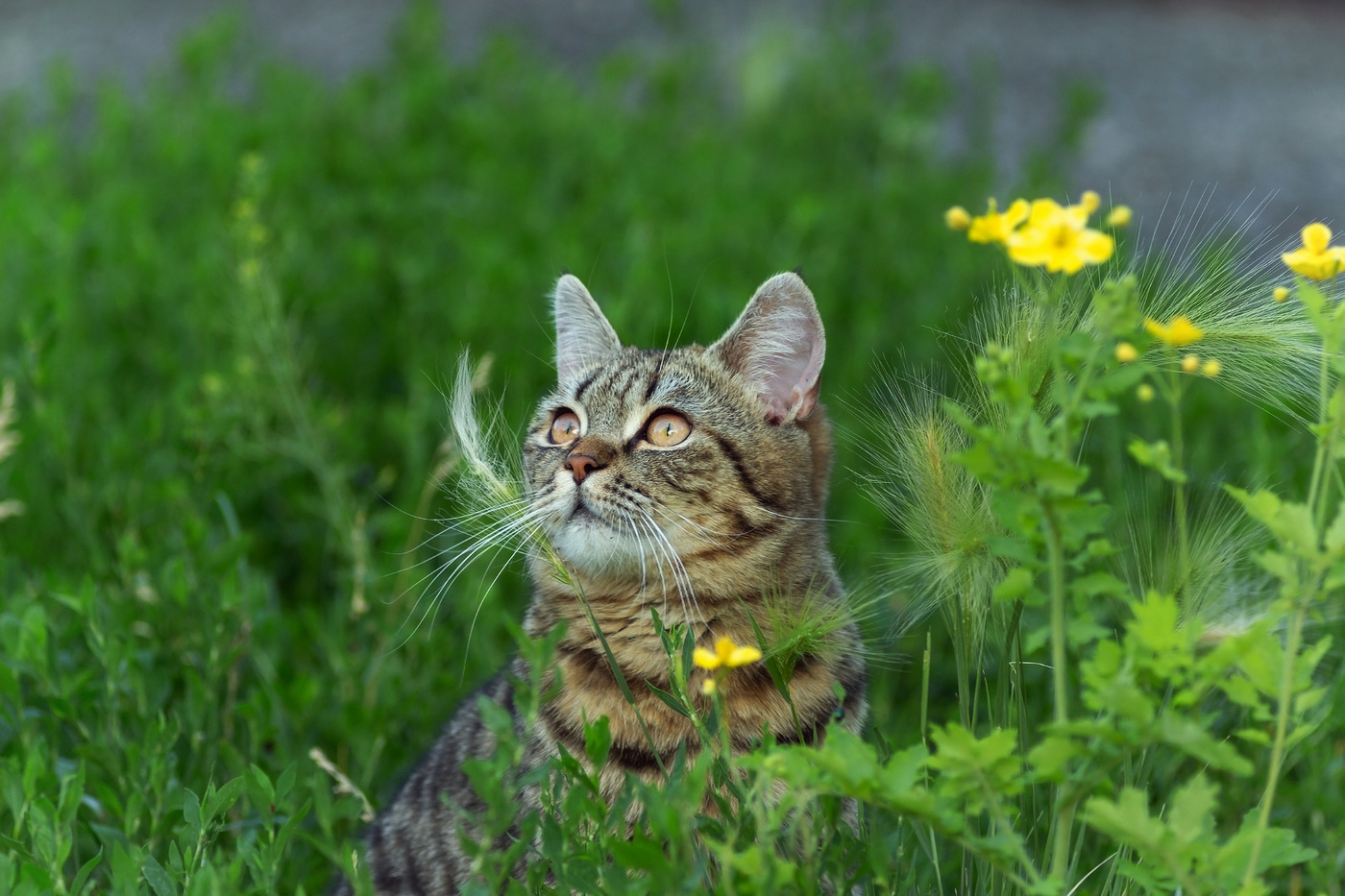 Есть ли жизнь на Марсе?!