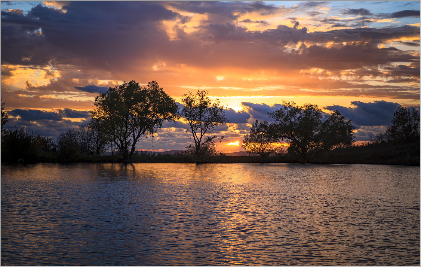 Вечернее шоу