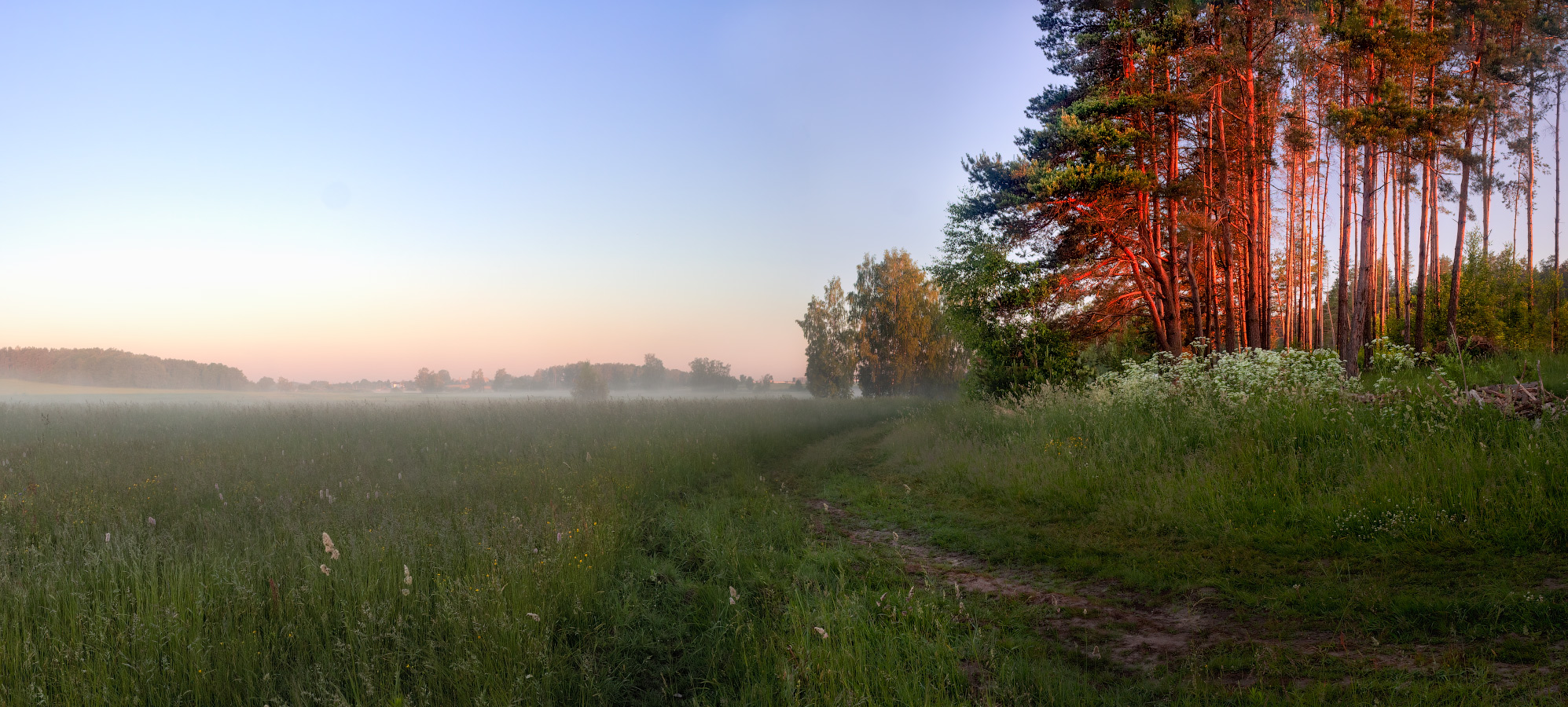 Ласковое утро