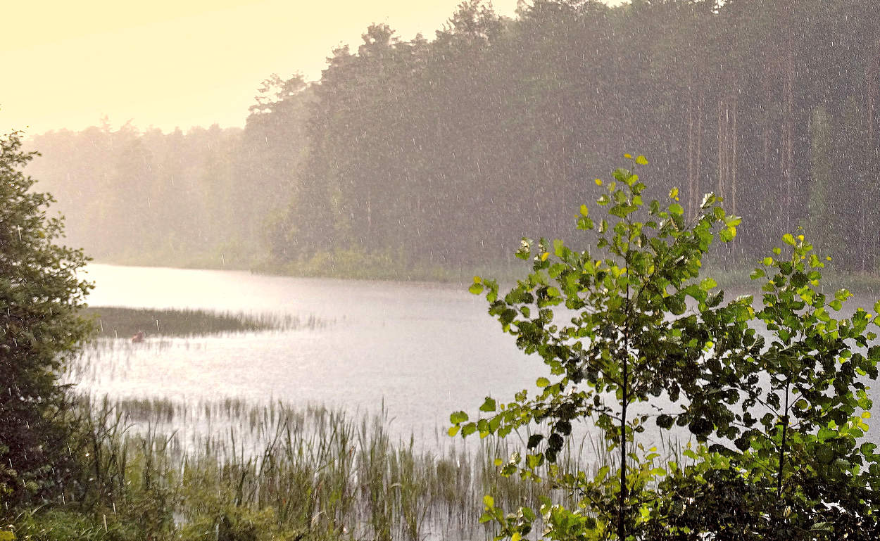 Слепой дождь и солнце