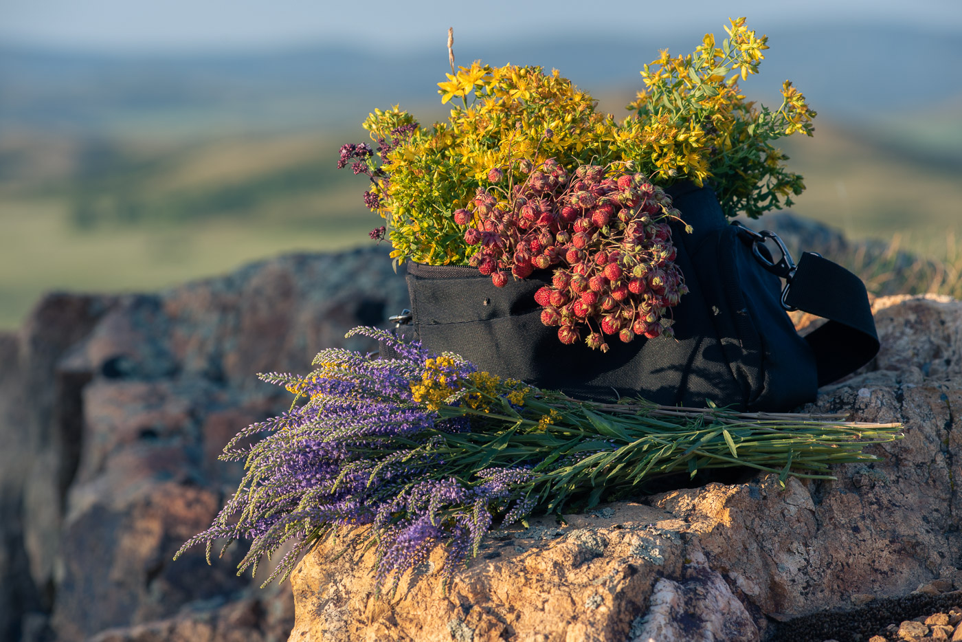 Июль - макушка лета