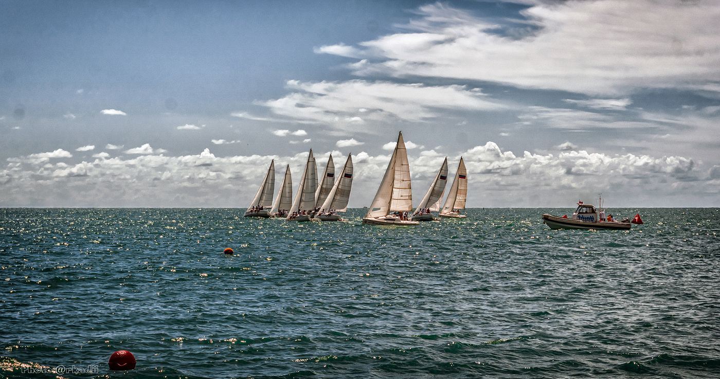 Регата (серия)