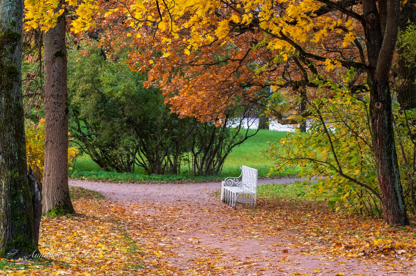 Екатерининский парк осенью.