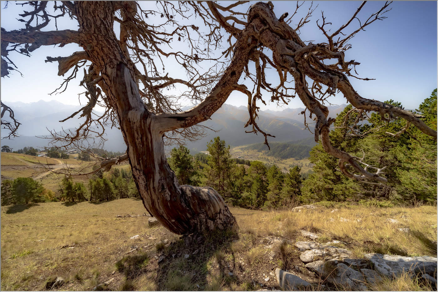 Такая жизнь