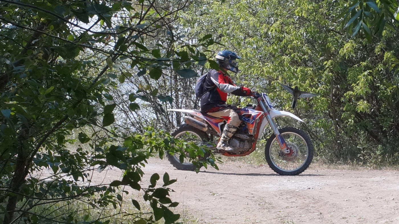 Сейчас вылетит птичка...