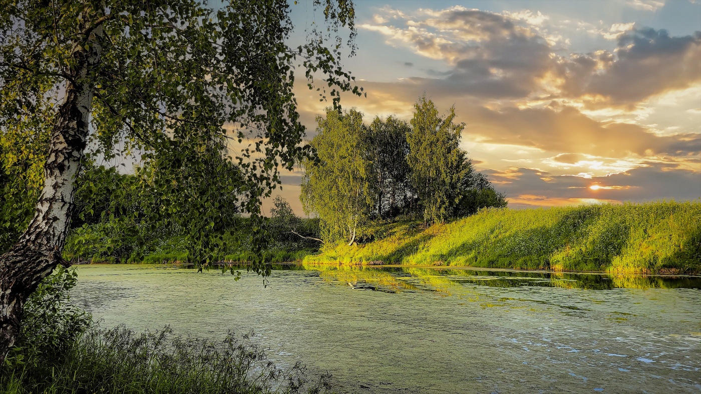 Над тихой заводью.