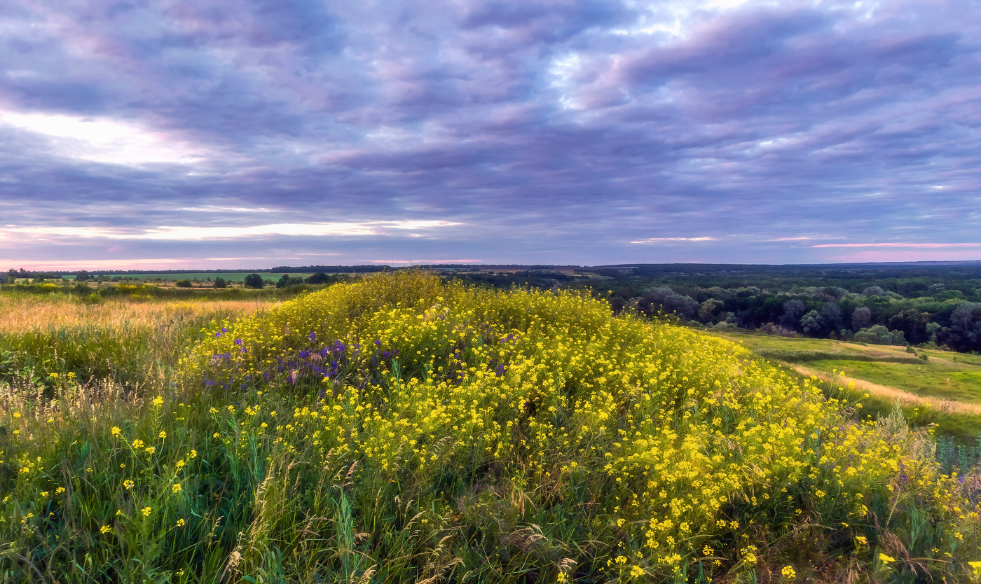 Солнечный бугорок под сине-фиолетовым небом.