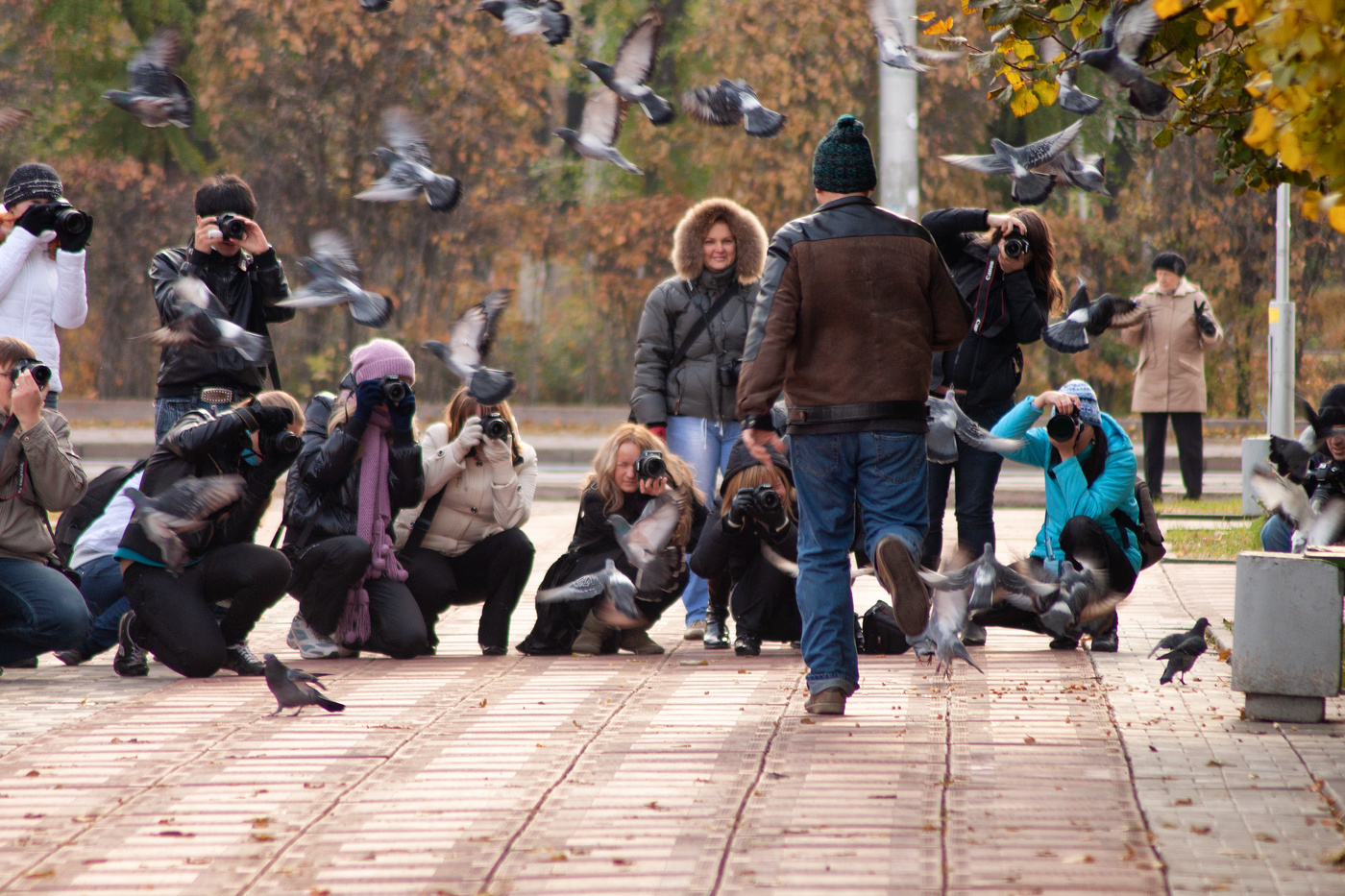 школа Соломона Пляра