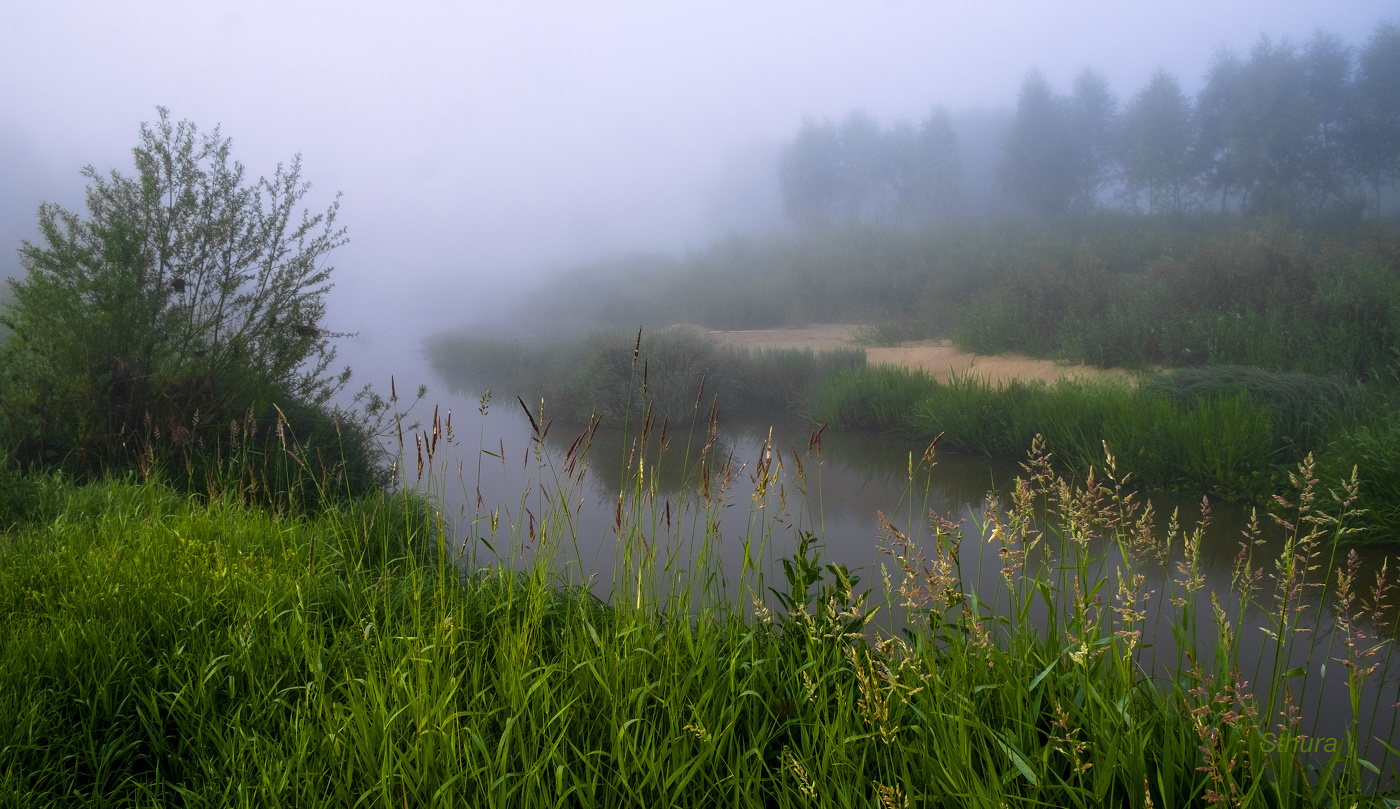 Утро туманное.