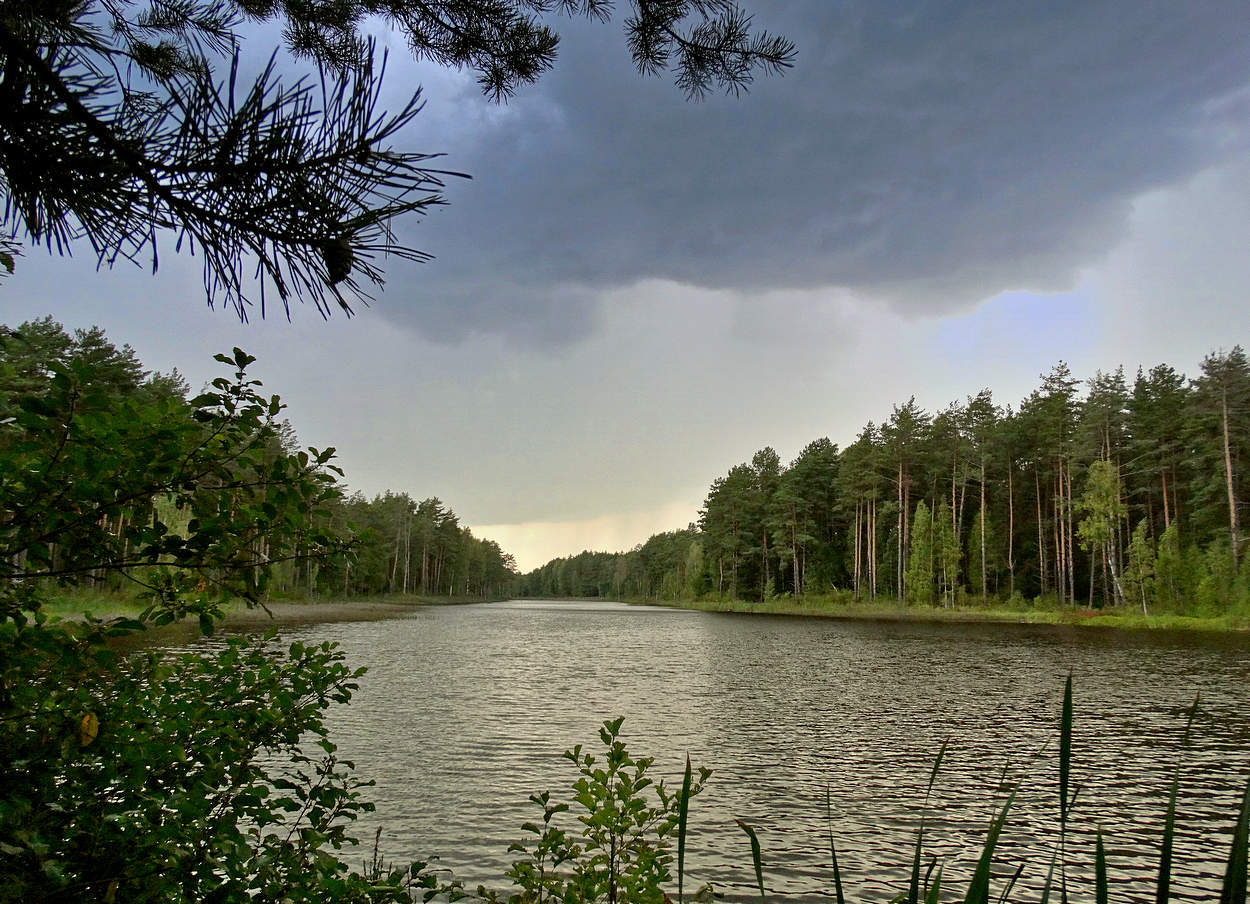 Похолодало и задождило