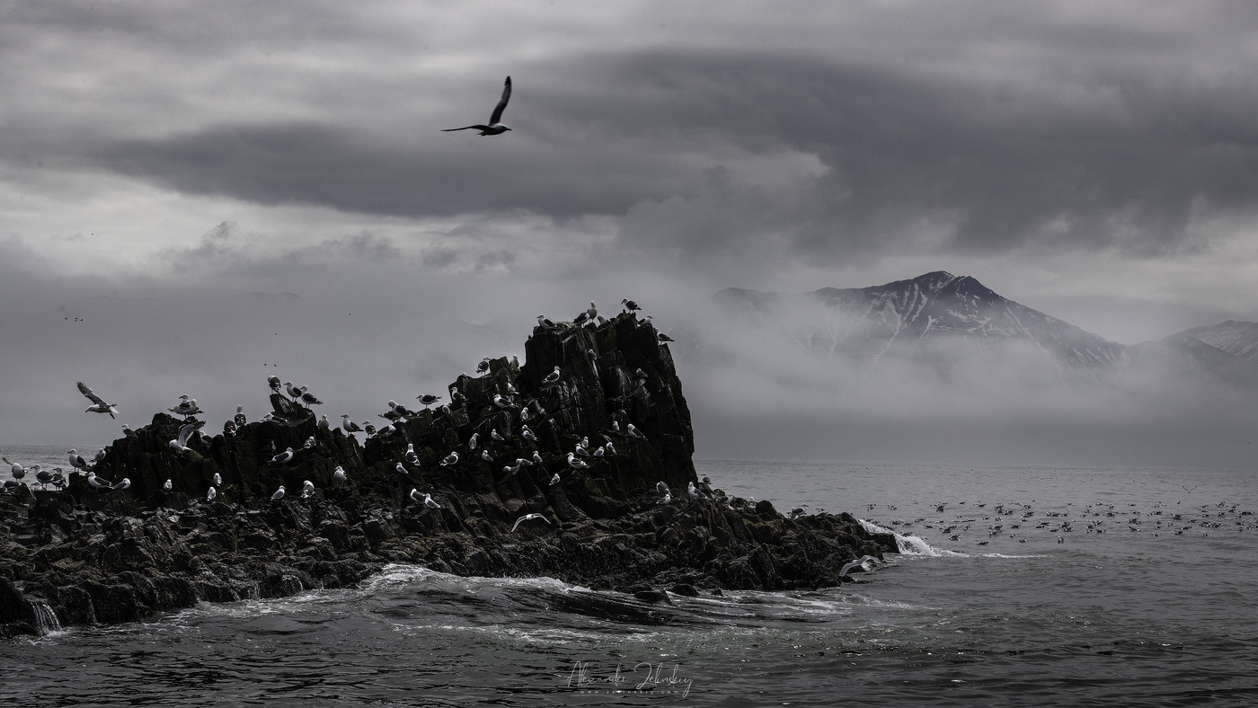 Лето на Камчатке