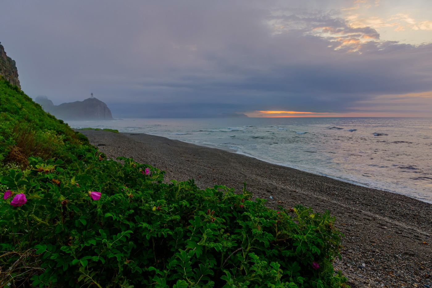 Туманное утро