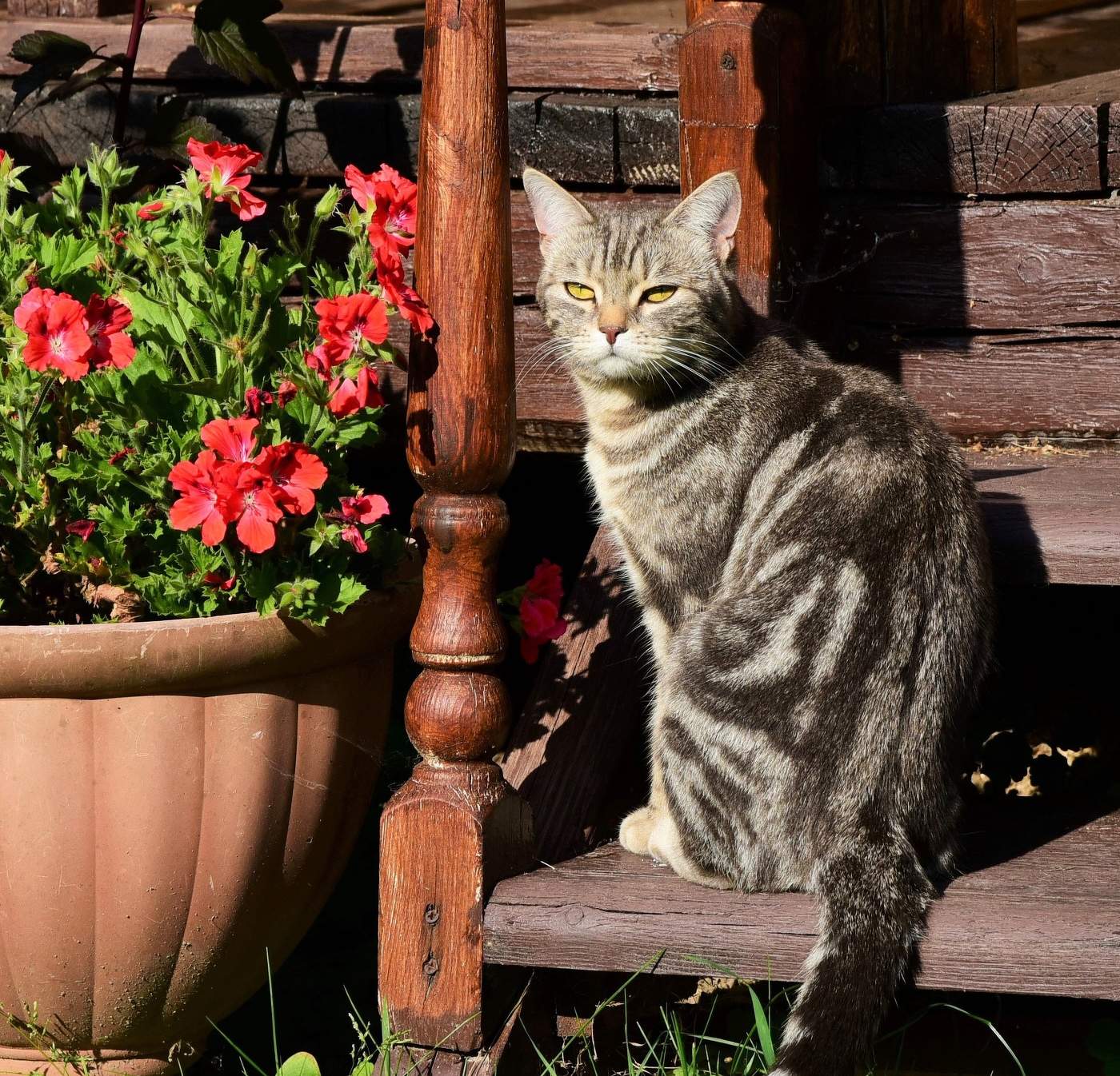 "Глядит она гордо и грустно... и думает что-то свое.."